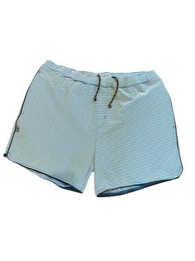 Rhone R And R Mens Striped Swim Trunks Size Large Blue White Seersucker Stretch